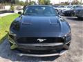 2019 Ford Mustang Image # 2