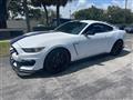 2016 Ford Mustang Shelby Image # 1