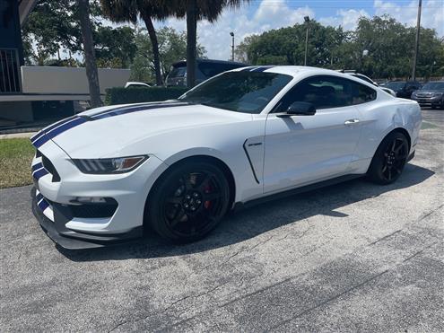 2016 Ford Mustang Shelby Image # 1