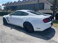 2016 Ford Mustang Shelby Image # 6