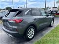 2021 Ford Escape Image # 4