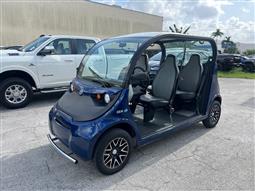 2016 Polaris GEM - Golf cart - - G0014281
