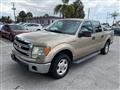 2013 Ford F-150 Image # 1