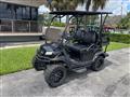 2021 Golf cart - ASPT 4 Person ASPT 4 Person Image # 1