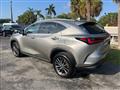 2022 Lexus NX 350 Image # 6