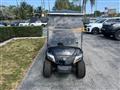 2019 Yamaha DR2A19 - Golf cart Image # 2