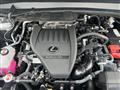 2024 Lexus TX 350 Image # 20