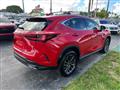 2023 Lexus NX 350 Image # 4
