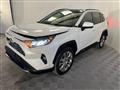 2019 Toyota RAV4 Image # 1