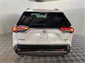 2019 Toyota RAV4 Image # 5