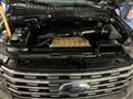 2019 Ford Expedition Image # 13