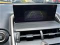 2019 Lexus NX 300 Image # 12