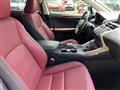 2019 Lexus NX 300 Image # 7
