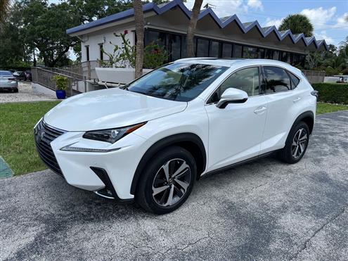2019 Lexus NX 300 Image # 1