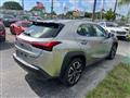 2022 Lexus UX 200 Image # 4