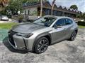 2022 Lexus UX 200 Image # 1