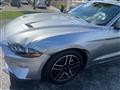 2022 Ford Mustang Image # 13