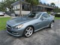 2012 Mercedes-Benz SLK250 Image # 1